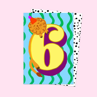 6th Birthday Card